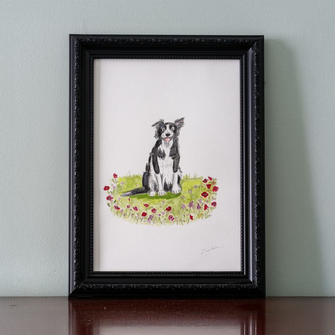 #dogillustration #dogart #dogowner #doglover #giftfordoglovers#bordercollie #bordercollieillustration