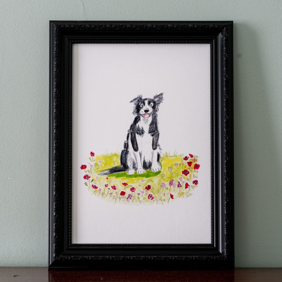 #dogillustration #dogart #dogowner #doglover #giftfordoglovers #bordercollie #bordercollieillustration