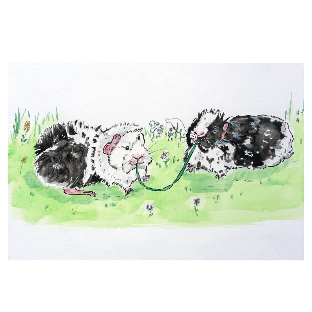 Illustrated Hand Painted Pet Commissions - Image 2