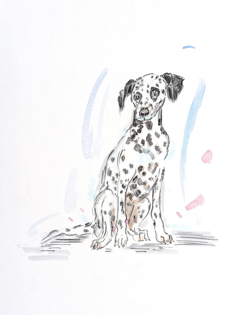 #dogillustration #dogart #dogowner #doglover #giftfordoglovers #dalmation
