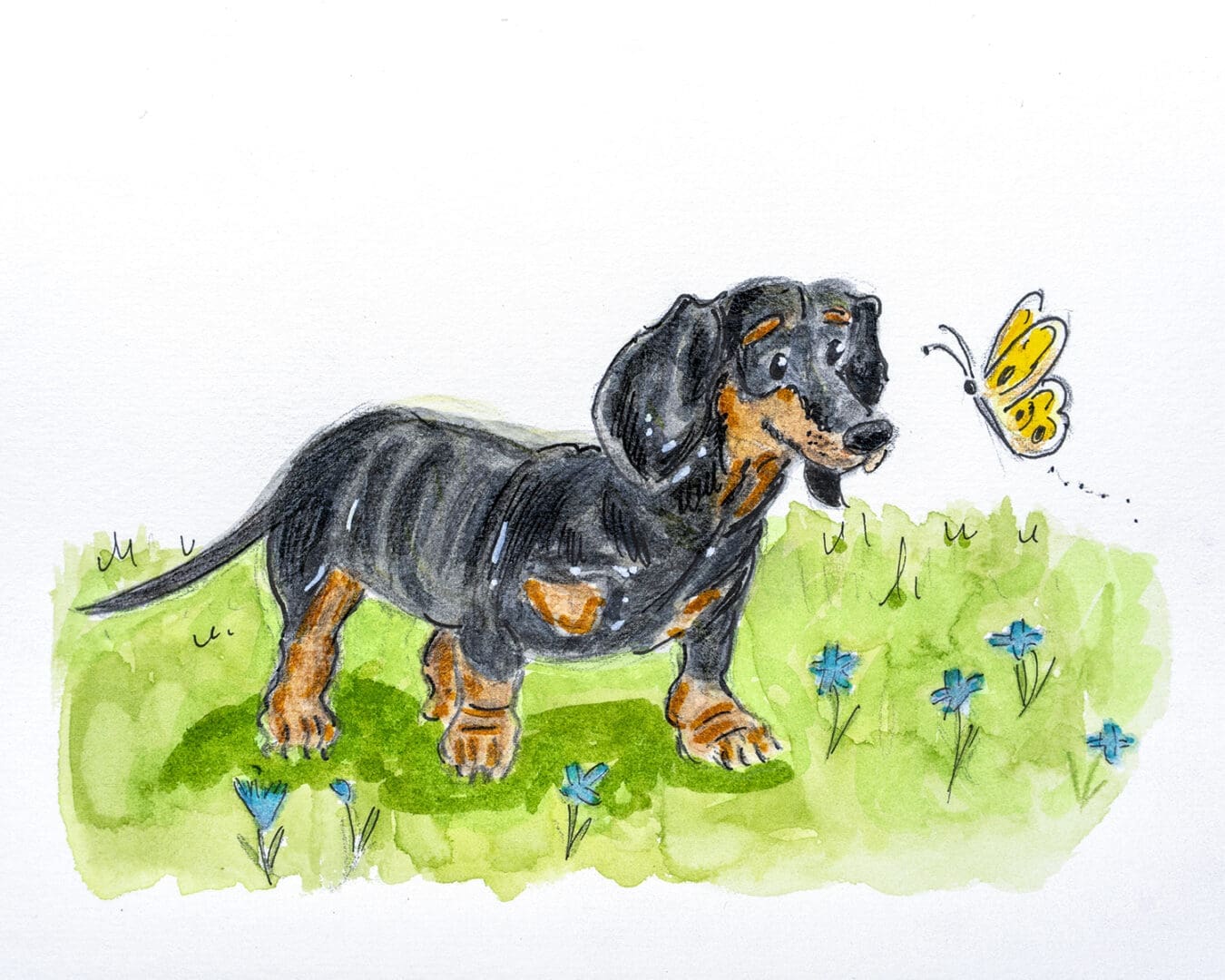 #Dachschund #dog #illustration #petowner #doglover #giftsforpetowners
