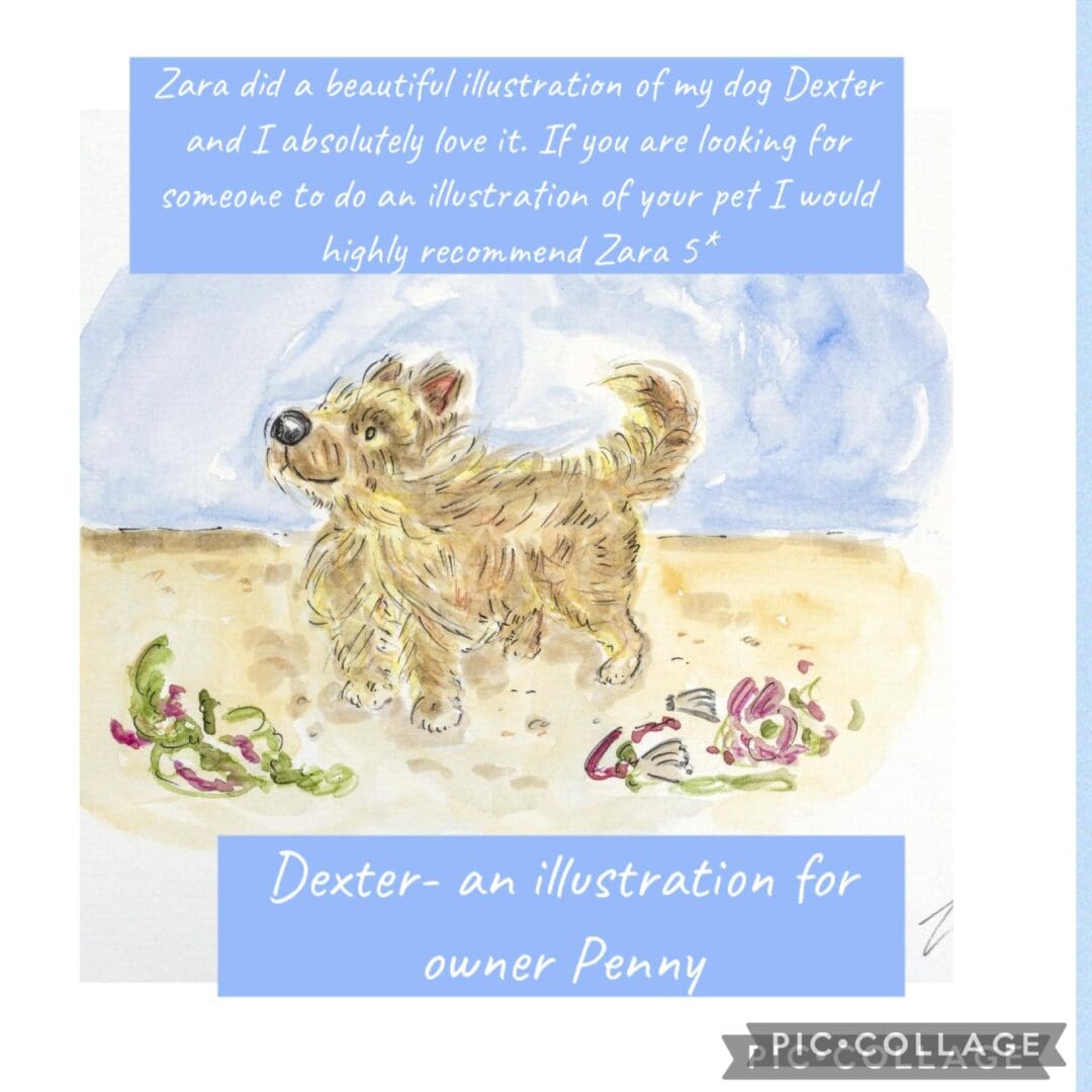 #petcommission #petillustration #clientreviews