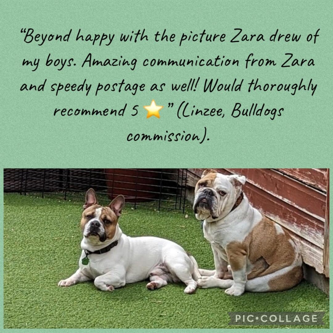 #petcommission #reviews #commissionreview #illustration #clientreviews