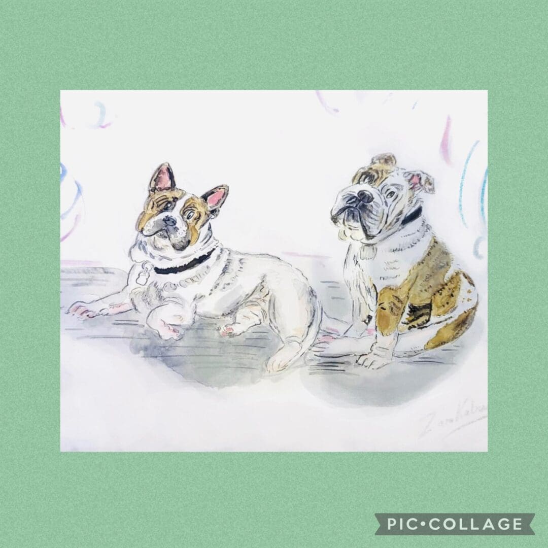 Illustrated Hand Painted Pet Commissions - Image 8