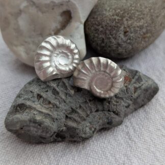 A pair of matt silver ammonite stud earrings sitting on a piece of larger ammonite