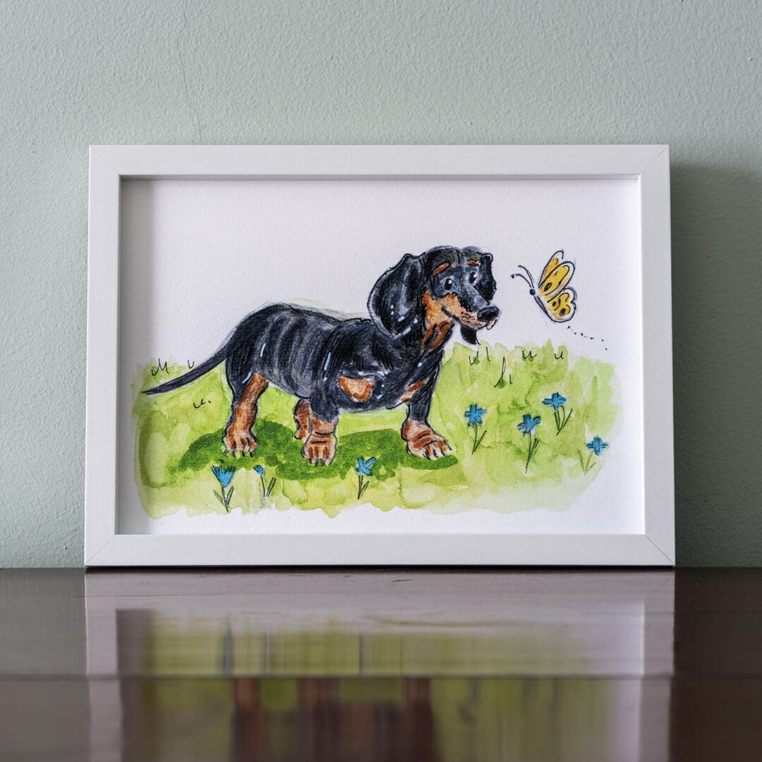 #Dachschund #dogs #dogillustrations #a5illustrations #print #gicleeprint