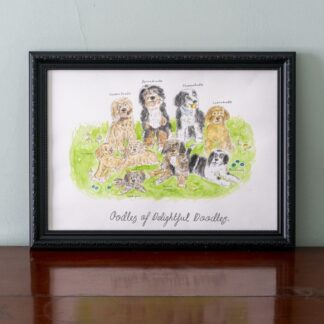 #labradoodles #cavapoos #bordoodles #cockapoos #goldendoodle #yorkiepoo #bernedoodle #sheepadoodle #aussiedoodle #sheepadoodle