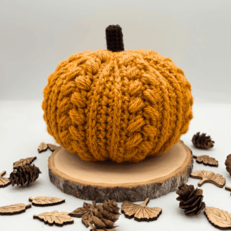 it's a picture of an orange crocheted pmpkin, the pumpkin has lots of texture a bit like a cable knit jumper. It's sitting on a round piece of wood and there are tiny pine cones and little wooden leaves around it.