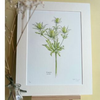 A mounted print of a sea holly botanical style drawing in green watercolour paint on white paper