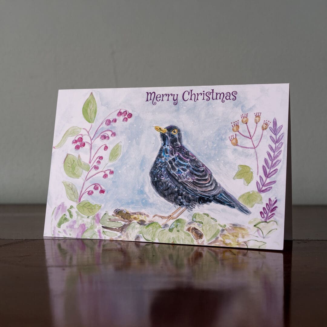 #blackbird #blackbirdart #blackbirdillustationr #blackbirdcard #britishbirds #christmascards #festive#blackbirdinwinter