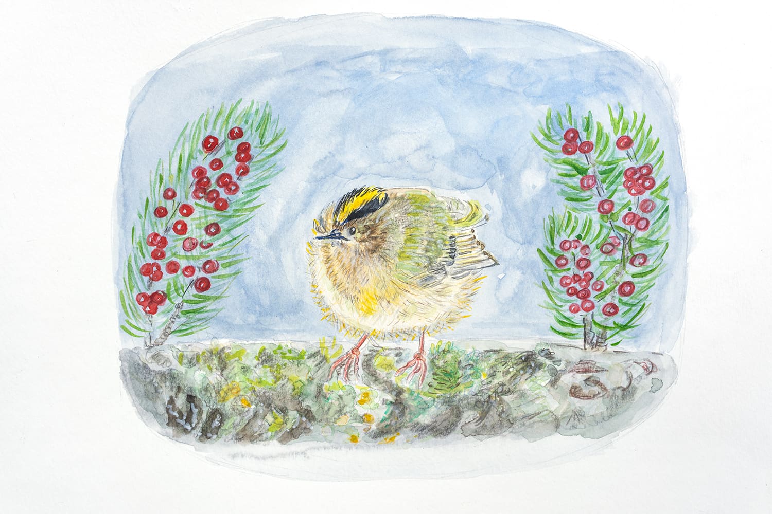 #goldcrest #bird #birdcard #christmascard #festivecards #greetingcard