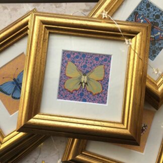 Close-up of framed butterfly art prints by The Illustrarium, featuring colourful hand-painted British butterflies in gold frames. Shown are Green Hairstreak, Blue Lace and Purple Emperor designs with patterned backgrounds.