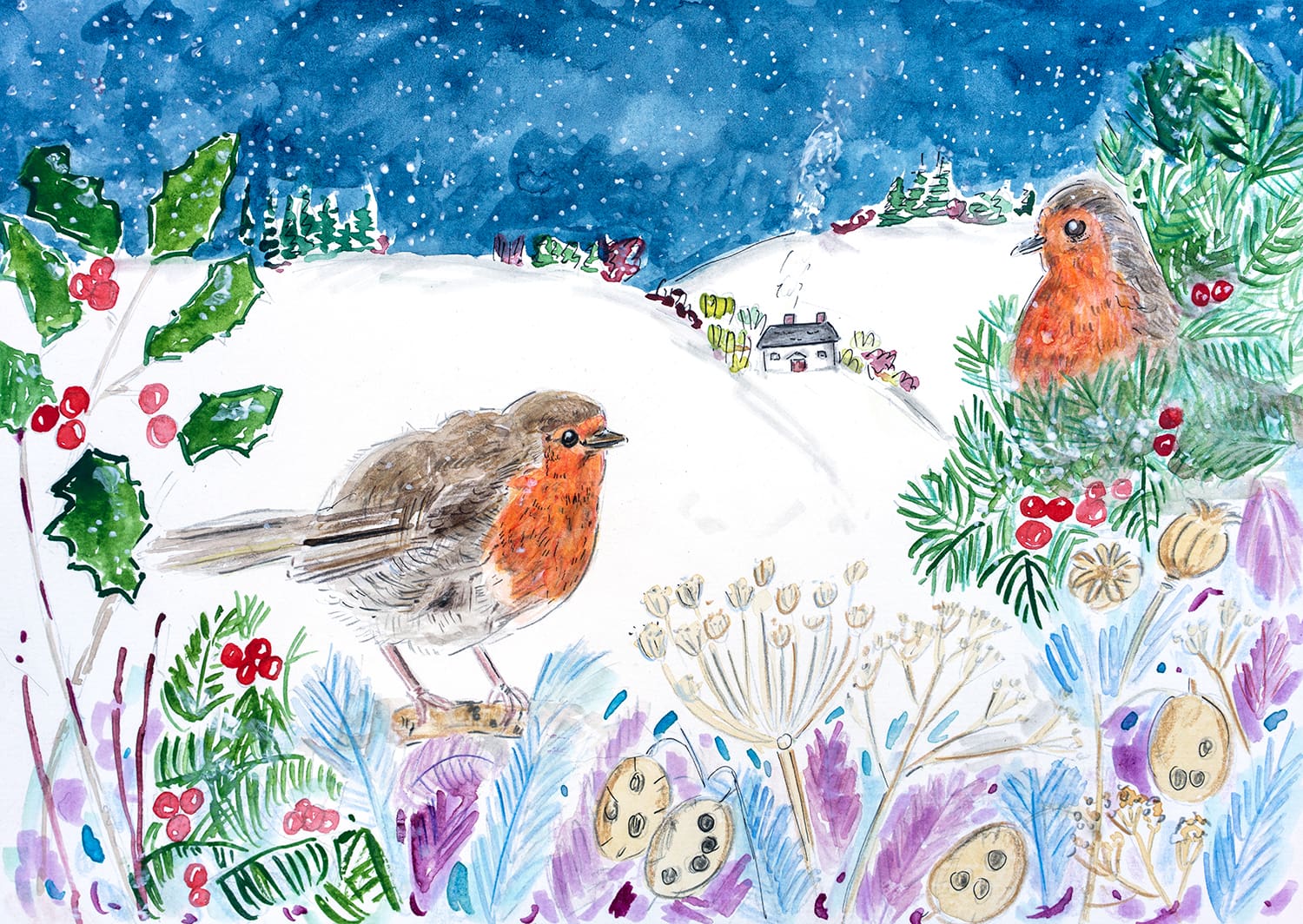 British Bird Illustrations- Goldcrest, Robins and Blackbirds (printed Christmas cards) - Image 6