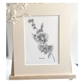 A print of a single hollyhock in black and white, mounted standing on an easel