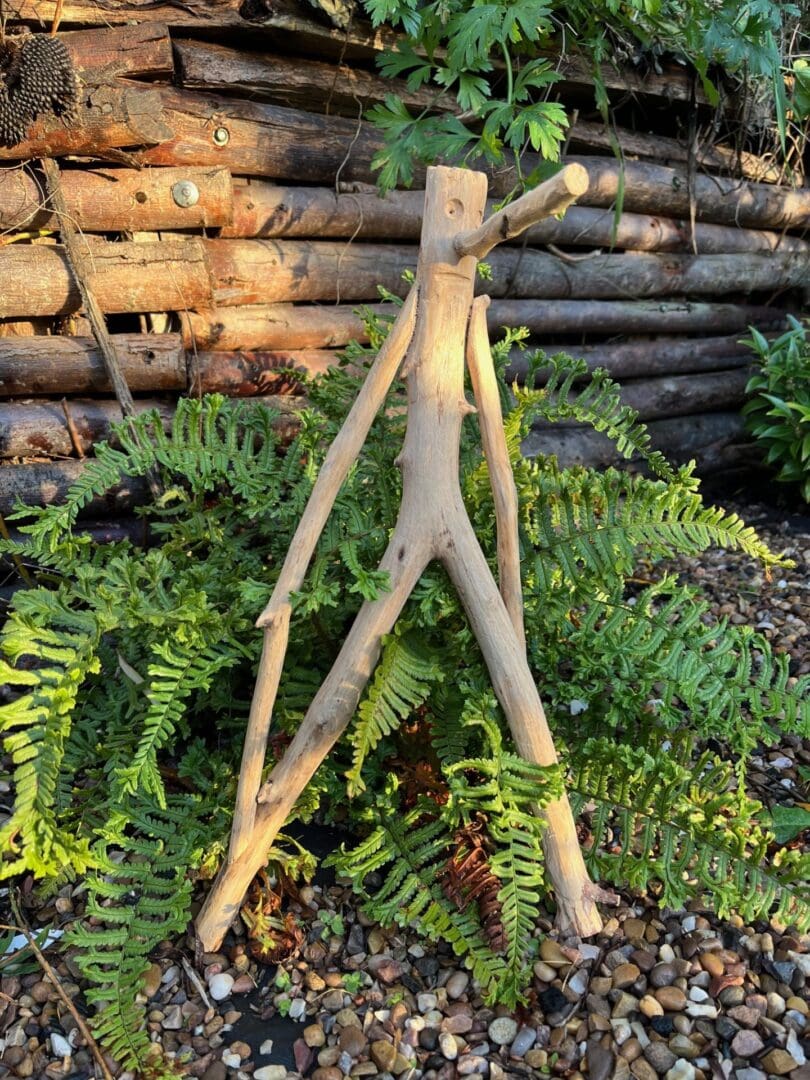 Mr Twiggy - bring a little personality to your garden! - Image 5