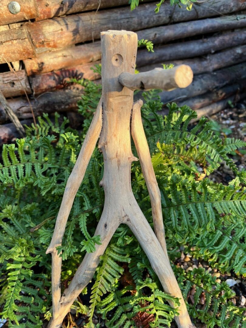 Mr Twiggy - bring a little personality to your garden! - Image 3