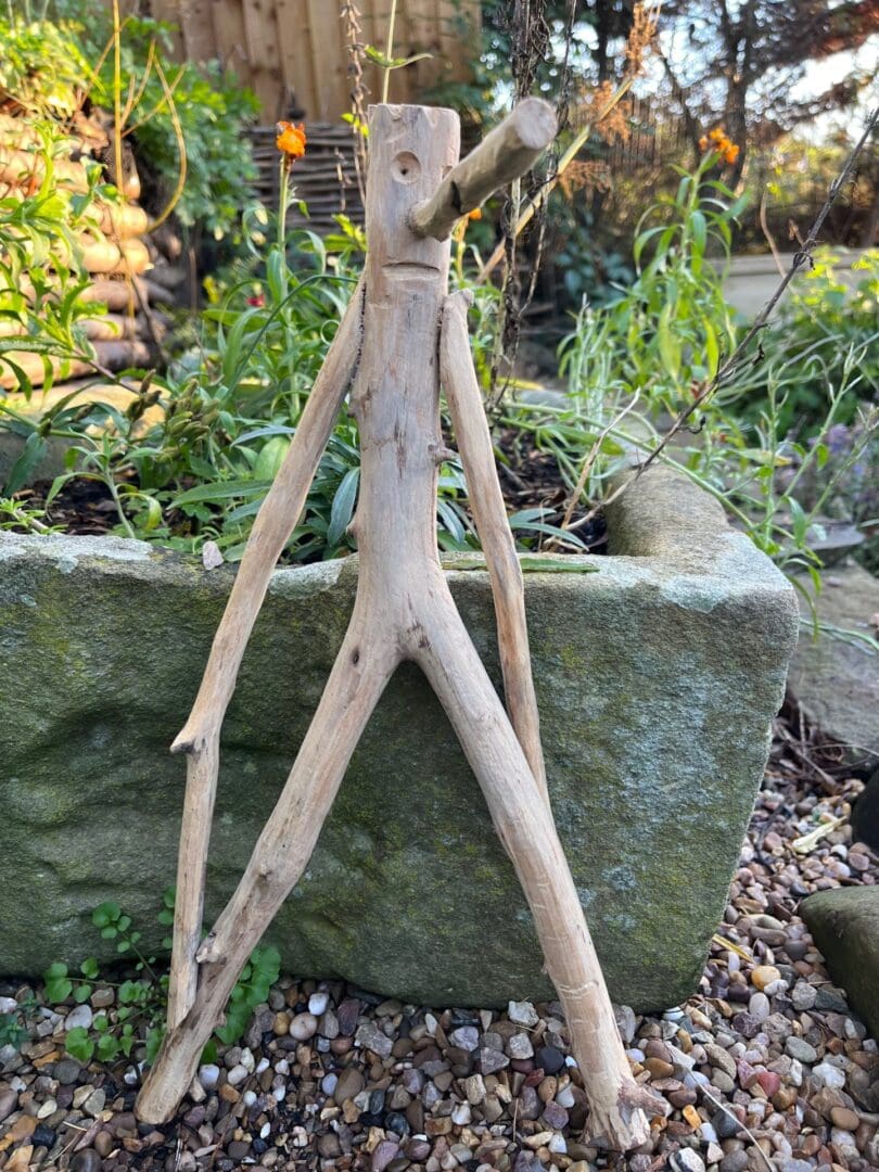 Mr Twiggy - bring a little personality to your garden! - Image 2