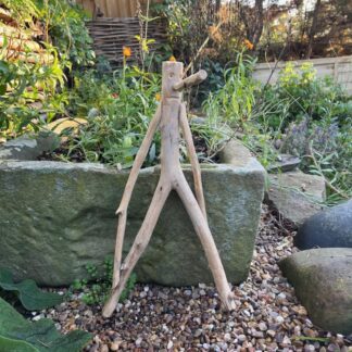 Mr Twiggy - bring a little personality to your garden!
