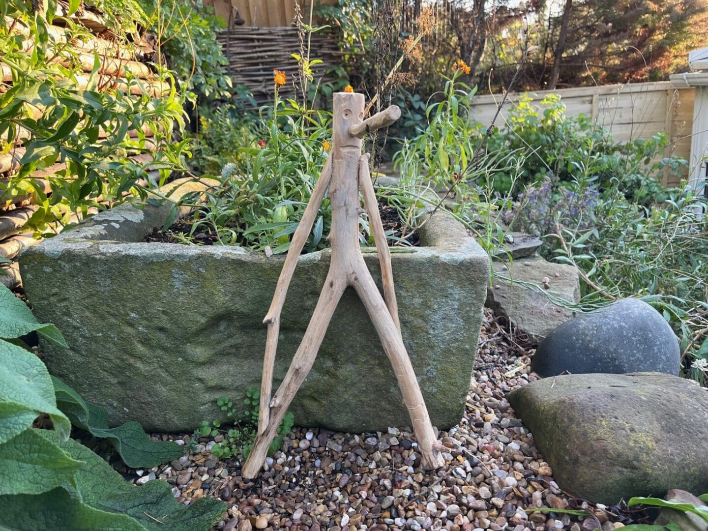 Mr Twiggy - bring a little personality to your garden!