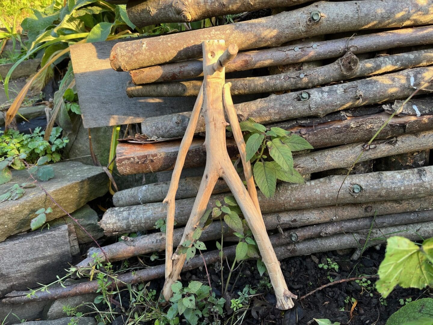 Mr Twiggy - bring a little personality to your garden! - Image 4