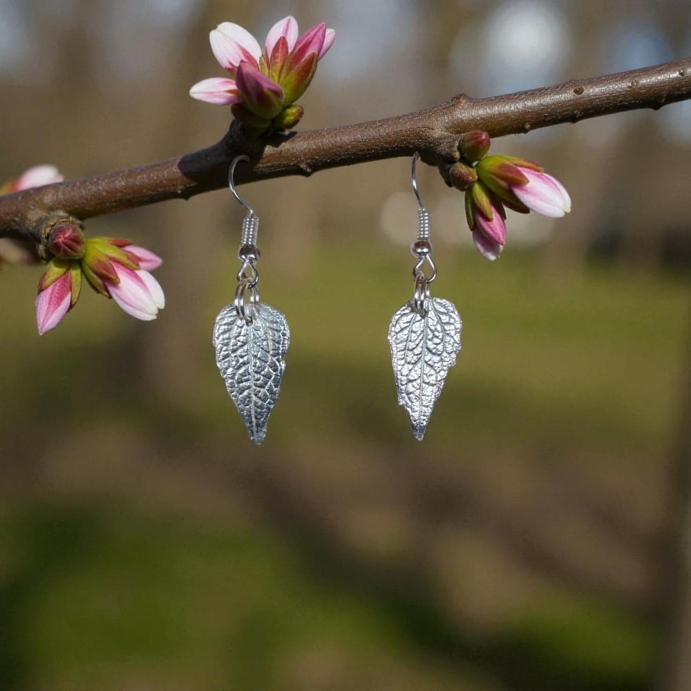 Silver drop leaf earrings hanging from a blossom branch