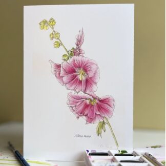 Greetings card with a single stem pink hollyhock on the front. Stands in front of box of paints.