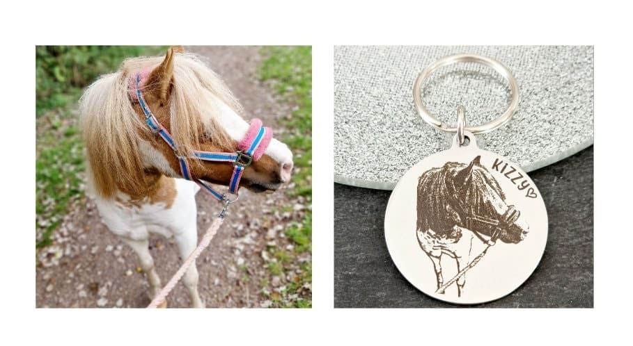 Actual photo keyring, from any photo. Horse, pony, donkey