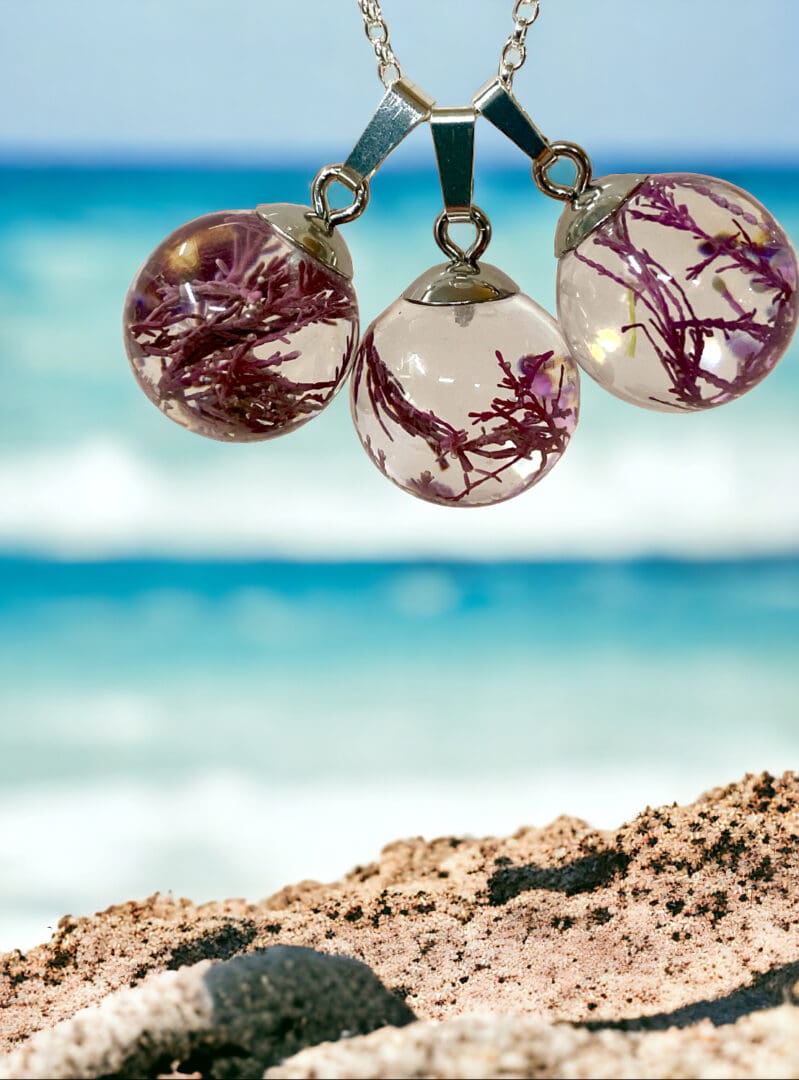 Pink Seaweed pendant - from Shetland - Image 3