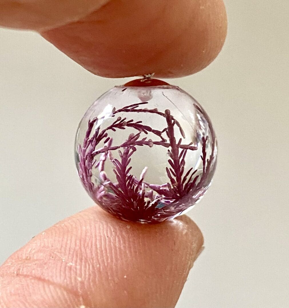 Pink Seaweed pendant - from Shetland - Image 4