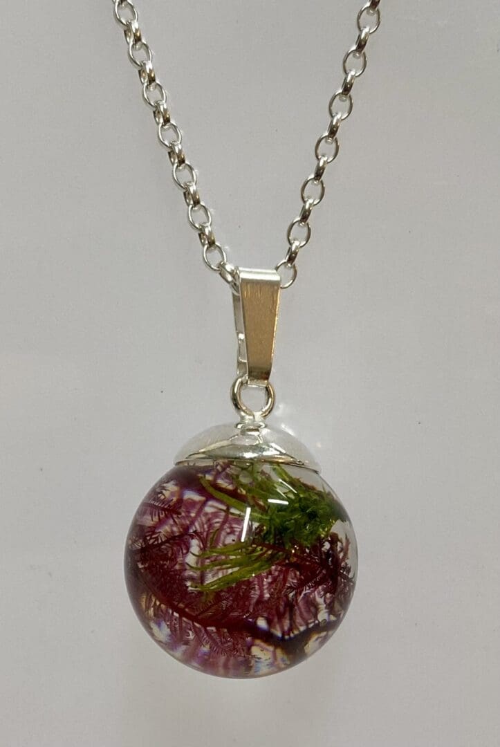 Mixed Seaweed pendant - Shetland - Image 5