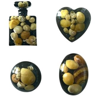 Yellow beach shells brooch, Shetland Isles.
