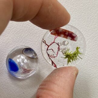 handmade buttons, shells, sea glass from Shetland lslands set into resin. by Shetland artist Sarah Kay art. Feature buttons
