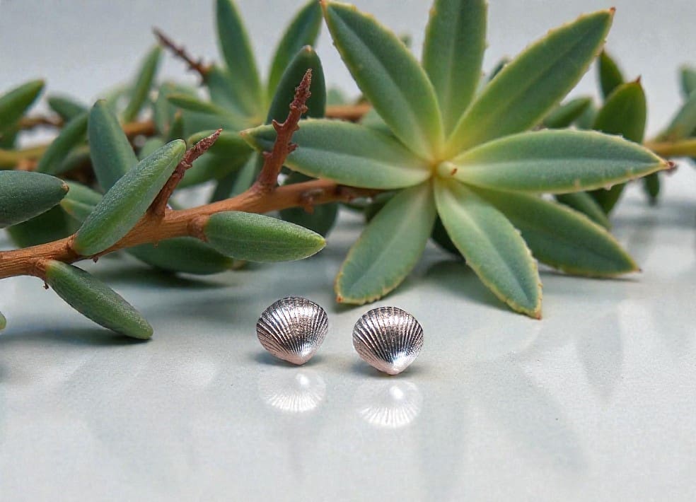 A pair of silver stud earrings in the shape of small cockleshells sat on a reflective white surface with large airplants behind them