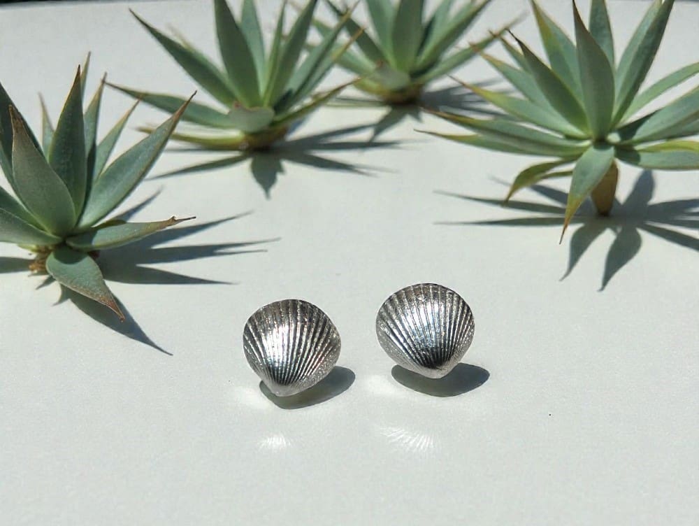 Gorgeous silver studs shaped as cockleshells sitting on a reflective white counter, surrounded by four airplants behind them