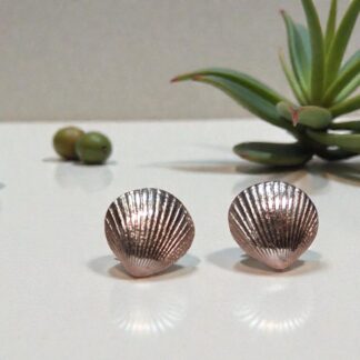 Beautiful silver studs in the shape of seashells sitting on a reflective white countertop with an airplant in the background to the right and some seeds in the background to the left.