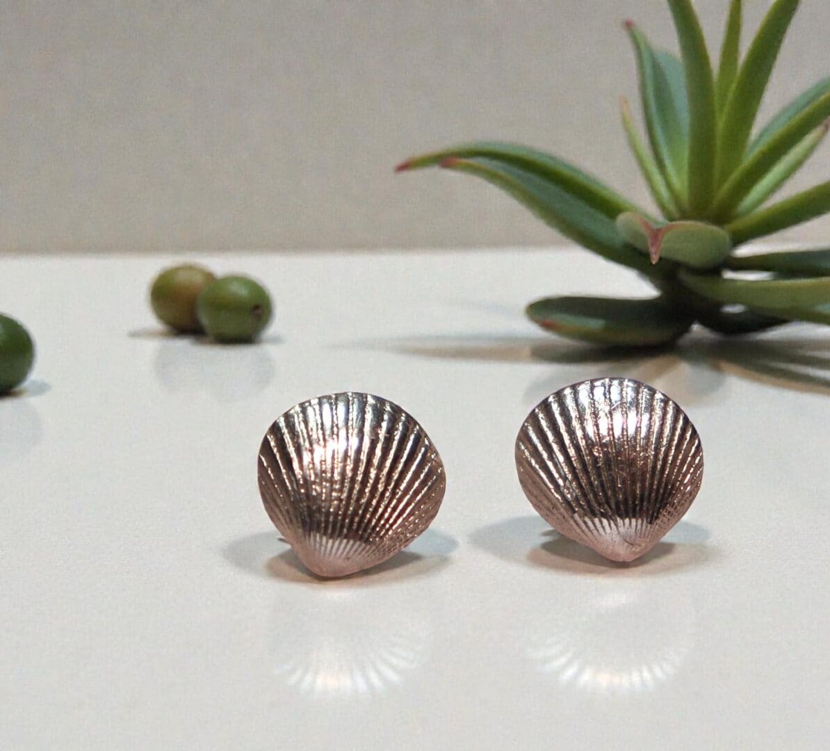 Beautiful silver studs in the shape of seashells sitting on a reflective white countertop with an airplant in the background to the right and some seeds in the background to the left.
