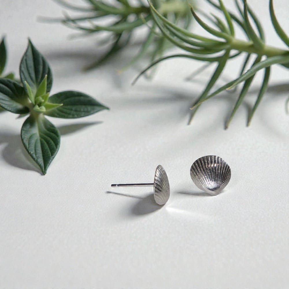 A pair of silver seashell studs on a reflective white counter, One is face on, the other is sideways so the post can be seen. Behind them to the left is a chunky airplant, to the right is a fine leafed airplant.