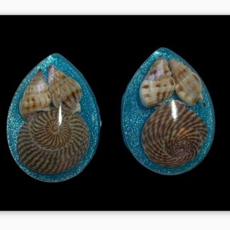 Beach shell studs, silver.