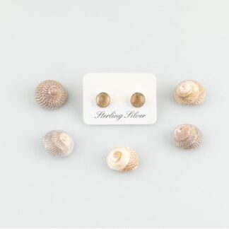 Silver shell stud earrings.