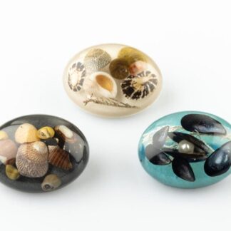 Oval beach brooch, shetland shells.