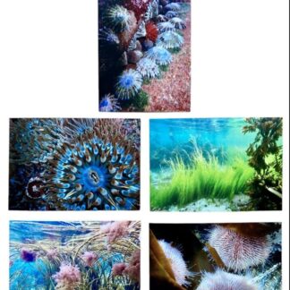 Printed cards from underwater - Shetland