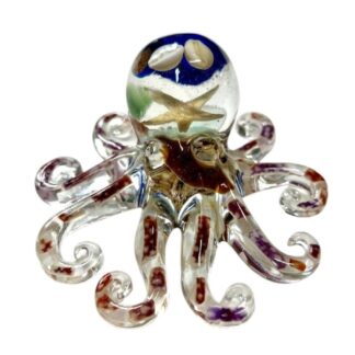 Shetland beach treasure Octopus