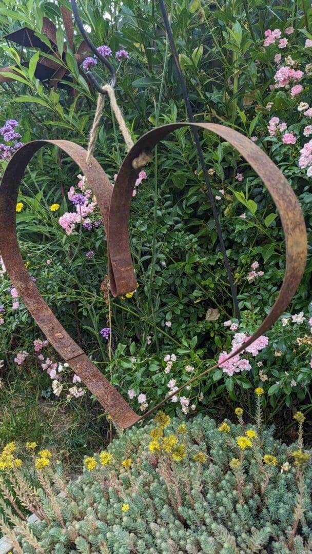 rusty metal garden heart made from a whisky barrel hoop