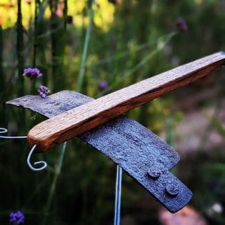 dragonfly garden ordiment