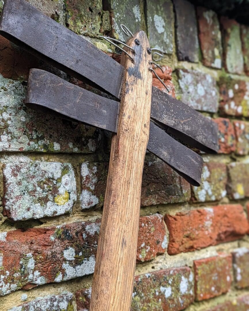 garden dragonfly art