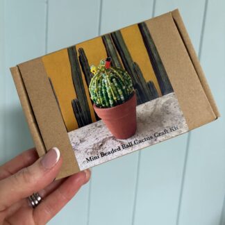 Beaded Ball Cactus DIY Craft Kit