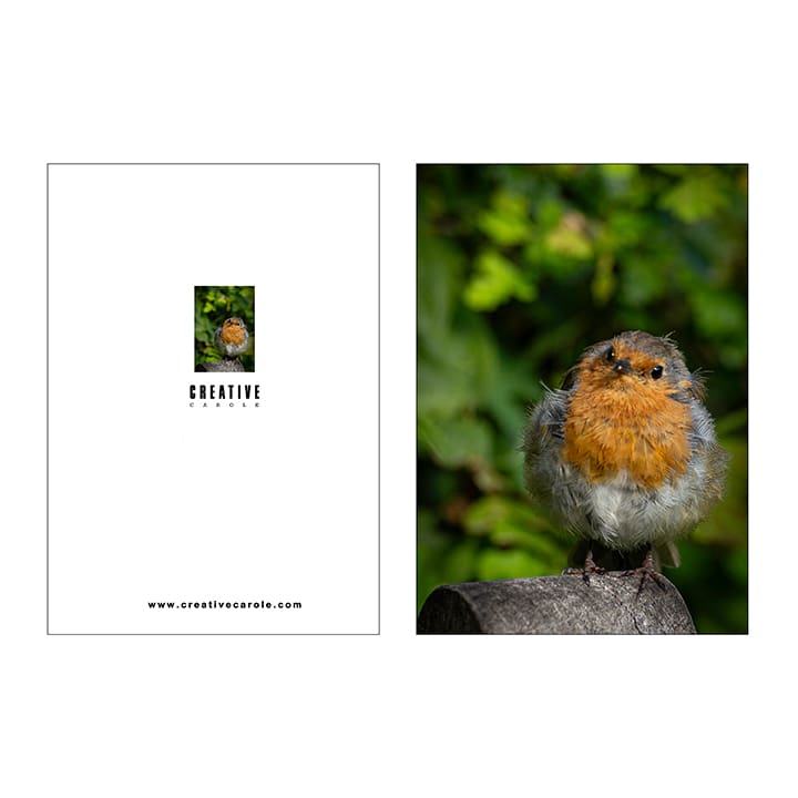 A5 Notebooks - Image 2