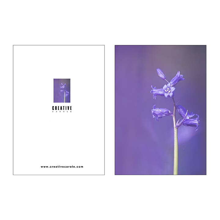 A5 Notebooks - Image 9