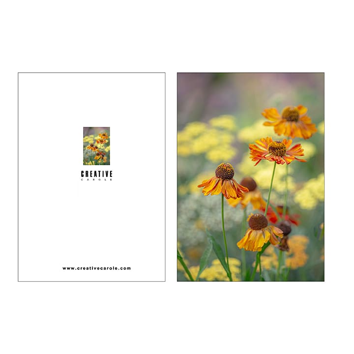 A5 Notebooks - Image 5