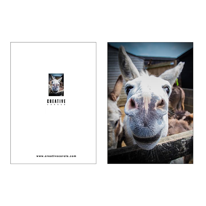 A5 Notebooks - Image 3